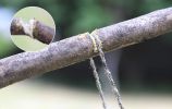 Portable Stainless Steel Wire Chain Saw; Manual Sawing Cutting; Emergency Survival Tool For Camping Hiking Trekking Travel
