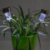24pcs 5W High Brightness Solar Power LED Lawn Lamps with Lampshades White & Silver for Patio, Walkways, Landscape Paths