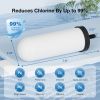 VEVOR Purification Water Filter Replacement for Gravity Filter System 2 Pack