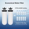 VEVOR Purification Water Filter Replacement for Gravity Filter System 2 Pack
