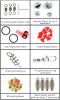 188Pcs Fishing Accessory Kit Portable Fishing Set Including Jig Hooks Sinker Weights Spoon Lure