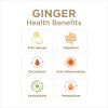 Mighty Mango Ginger Rescue Chewable Tablets for Kids by The Ginger People – Drug Free, Digestive Health, 24 Chewable Tablets - Case Of 10