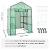 VEVOR Walk-in Green House, 4.6 x 4.6 x 6.6 ft , Greenhouse with Shelves, High Strength PE Cover with Zipper Door and Steel Frame, Assembly in Minutes