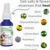 Bach RESCUE REMEDY KIDS Drops for Natural Stress Relief, Homeopathic Flower Essence - 0.35 Fl Oz