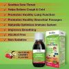Herbion Naturals Throat Syrup - All Natural - Cherry - For Children - 5 Oz