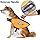Dog Life Jacket; Reflective & Adjustable Pet Life Preserver Vest with Strong Buoyancy and Durable Rescue Handle for Swimming; Surfing; Boatin