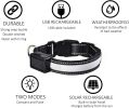 Adjustable Waterproof Dog Safety Collar w/ LED Lighting, USB or Solar Rechargeable Flashing & Reflecting Light For Night Walking