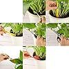 Outdoor & Indoor Usage 13 Piece Mini Garden Planting Tool Set