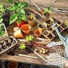Outdoor & Indoor Usage 13 Piece Mini Garden Planting Tool Set