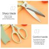 2pcs (2-in-1) Kitchen Scissors & Vegetables Peeler; Stainless Steel Multifunctional Food Scissors